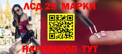 гашик Кулебаки