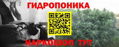 гашик Кулебаки